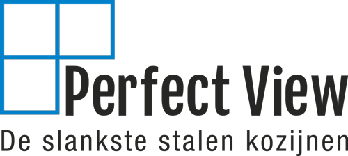 Perfect View - Logo